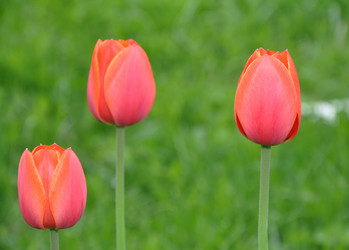 Similar image 657948