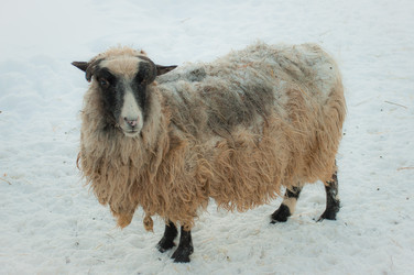 Similar image 657971