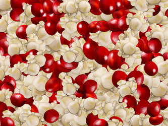 Similar image 658008