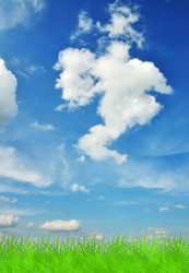 Similar image 658030