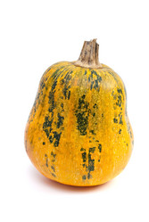 Similar image 658076