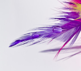 Similar image 658088