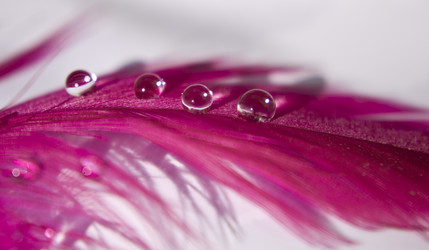 Similar image 658089