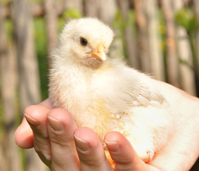 Similar image 658093