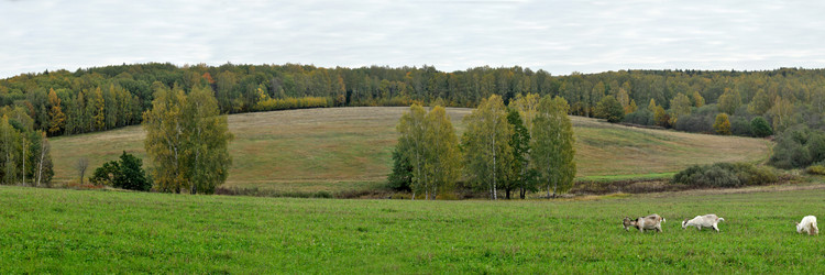 Similar image 658129