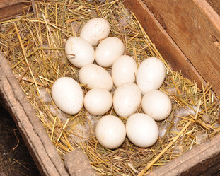 Similar image 658131