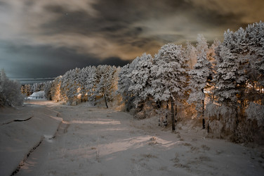 Similar image 658137