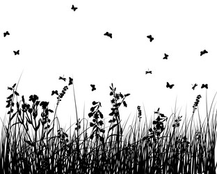 Similar image 658185