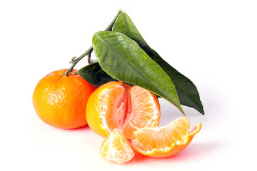 Similar image 658225