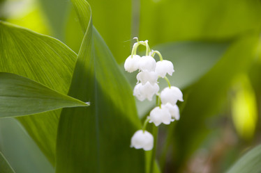 Similar image 658294