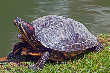 Similar image 658318