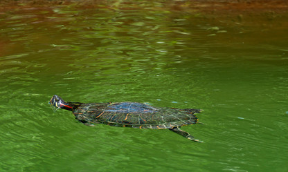 Similar image 658319