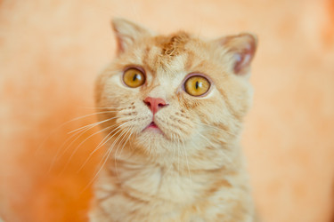 Similar image 658376