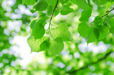 Similar image 658593