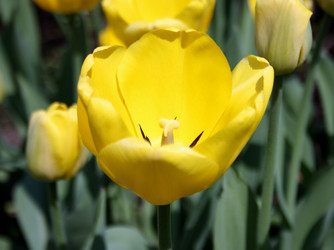 Similar image 658599