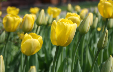 Similar image 658600