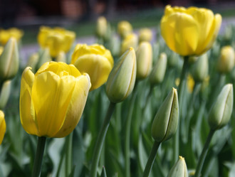 Similar image 658603