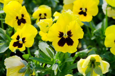 Similar image 658610