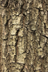 Similar image 658614