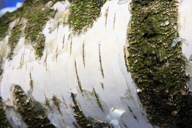 Similar image 658615