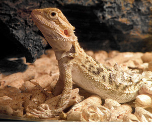 Similar image 658635