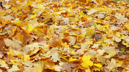 Similar image 658678