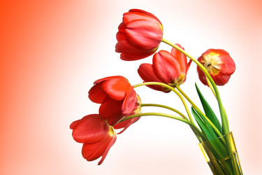 Similar image 658703