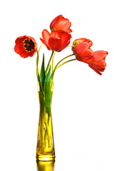 Similar image 658705