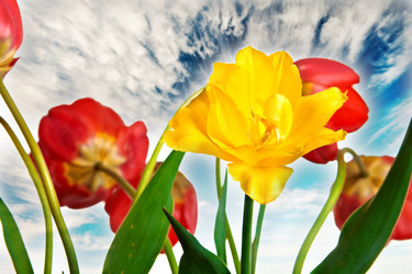 Similar image 658707