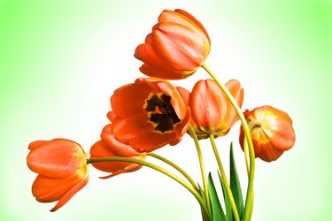 Similar image 658715