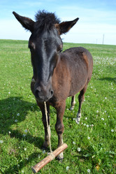 Similar image 658716