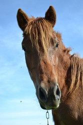 Similar image 658720