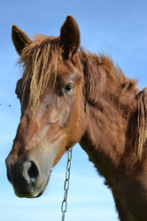 Similar image 658721