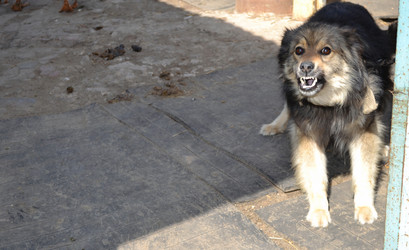 Similar image 658725