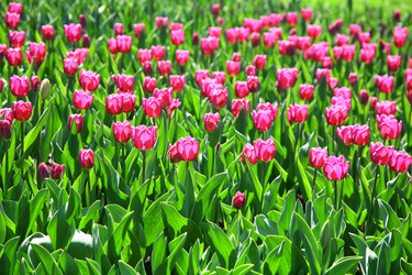 Similar image 658726