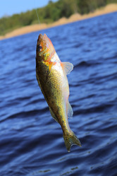 Similar image 658736