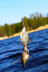 Similar image 658737