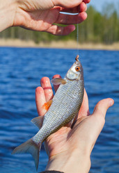 Similar image 658740