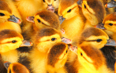 Similar image 658748