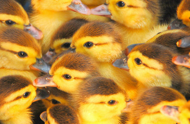 Similar image 658749