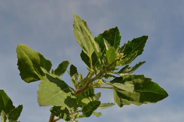 Similar image 658757