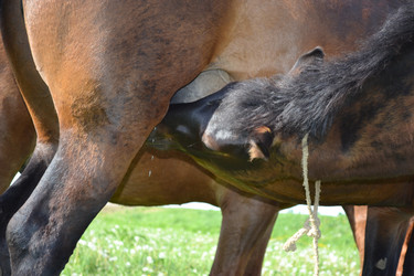 Similar image 658759