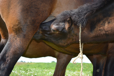 Similar image 658760