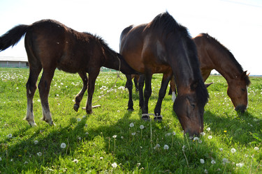 Similar image 658761