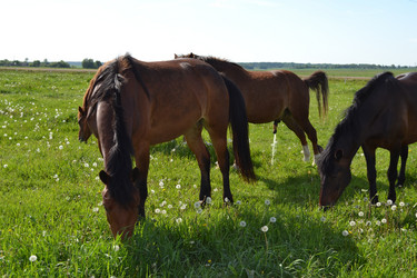 Similar image 658763