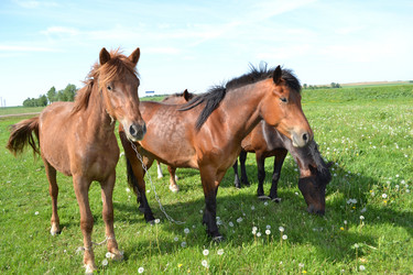 Similar image 658764