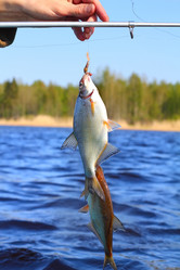 Similar image 658773