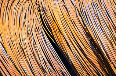 Similar image 658774