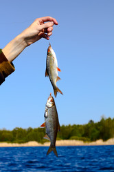 Similar image 658777