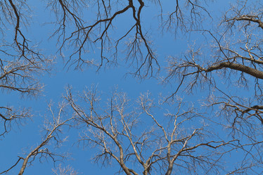 Similar image 658812